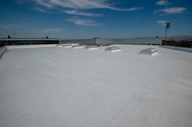 Best Roof Coating and Sealing  in Fishersville, VA